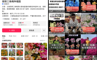 把三角梅卖到西藏：快手电商里的小商家，和他们的慢生意