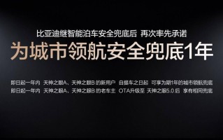 比亚迪宣布为辅助驾驶兜底，为何没有人跟进？